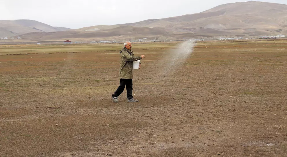 Van'da Zayıf ve Vasıflı Meralar İyileştirilecek