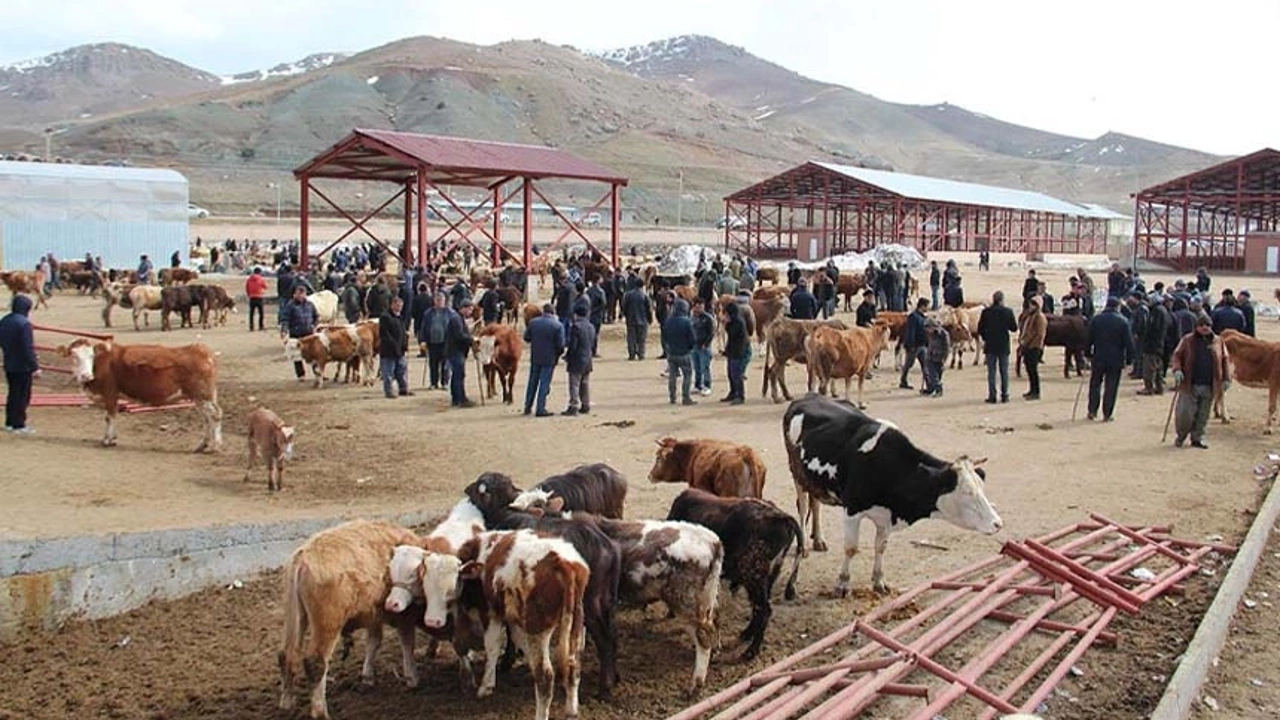 Van'daki Kurban Kesim Alanları Belli Oldu