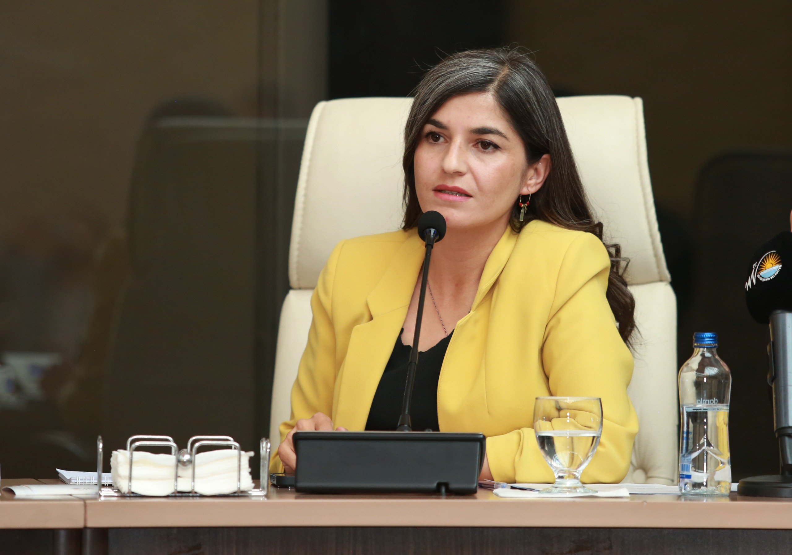 Van Büyükşehir Belediyesi elektrik borcu için 136 milyon TL kredi çekecek