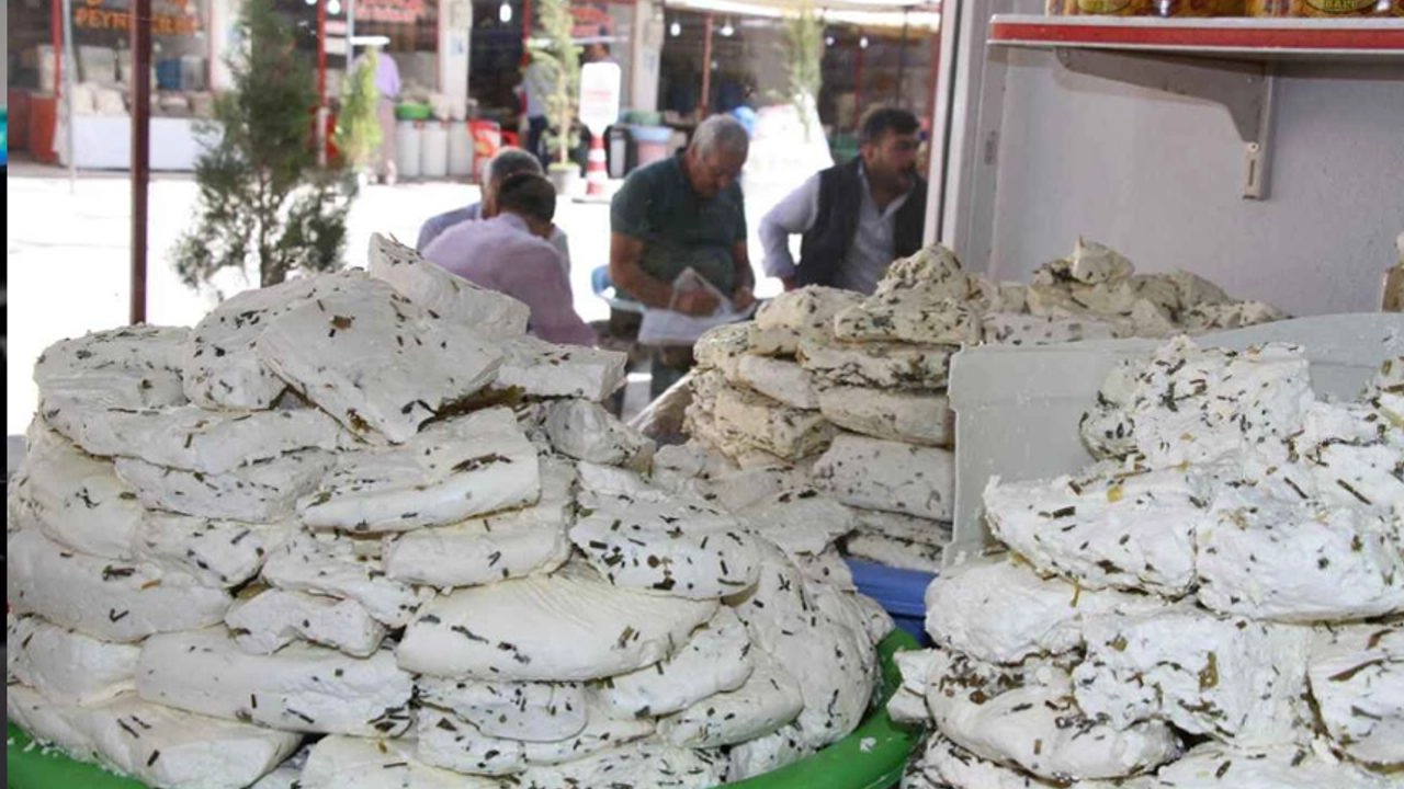 Van Otlu Peyniri Avrupa Birliği yolunda!