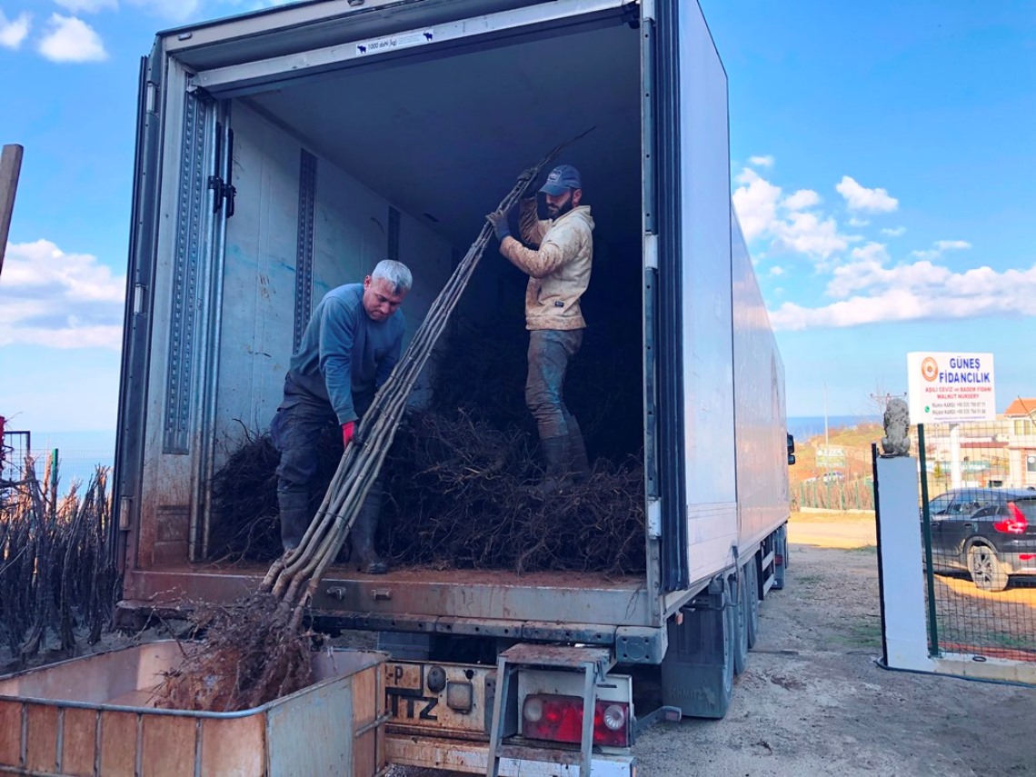 Güneş Fidancılık ile Kaliteli Yatırım