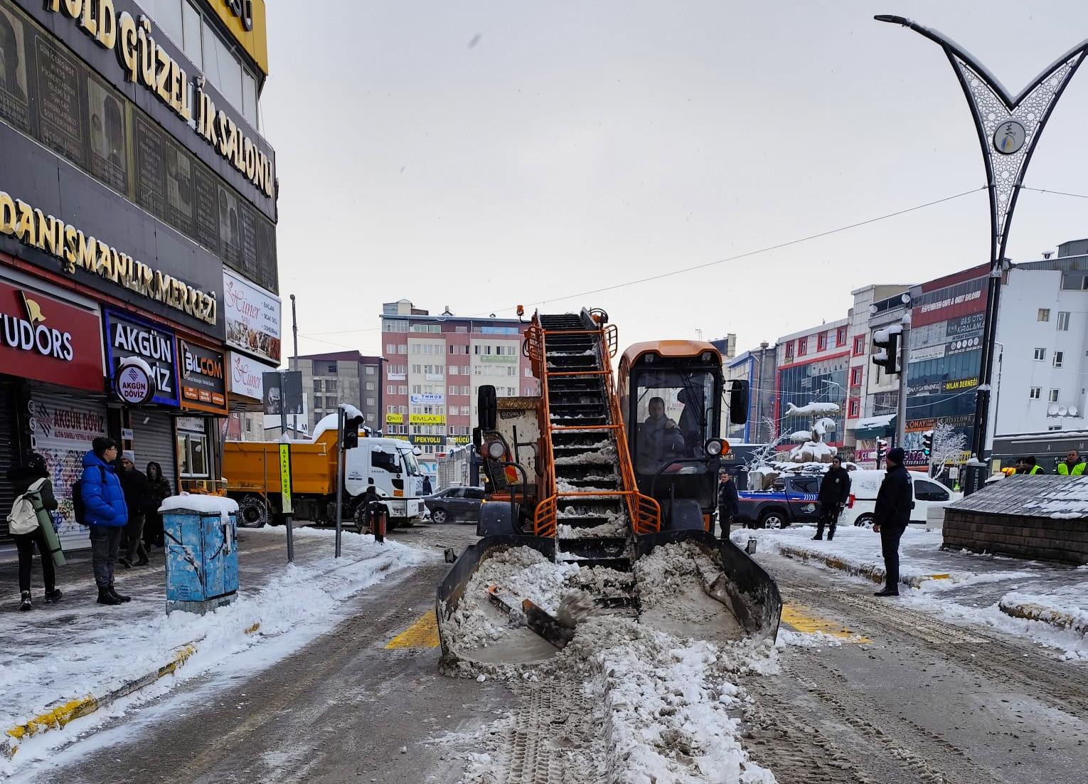 Van genelinde karla mücadele çalışması