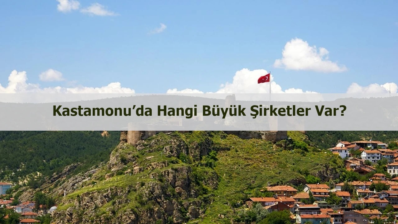 Kastamonu’da hangi büyük şirketler var?