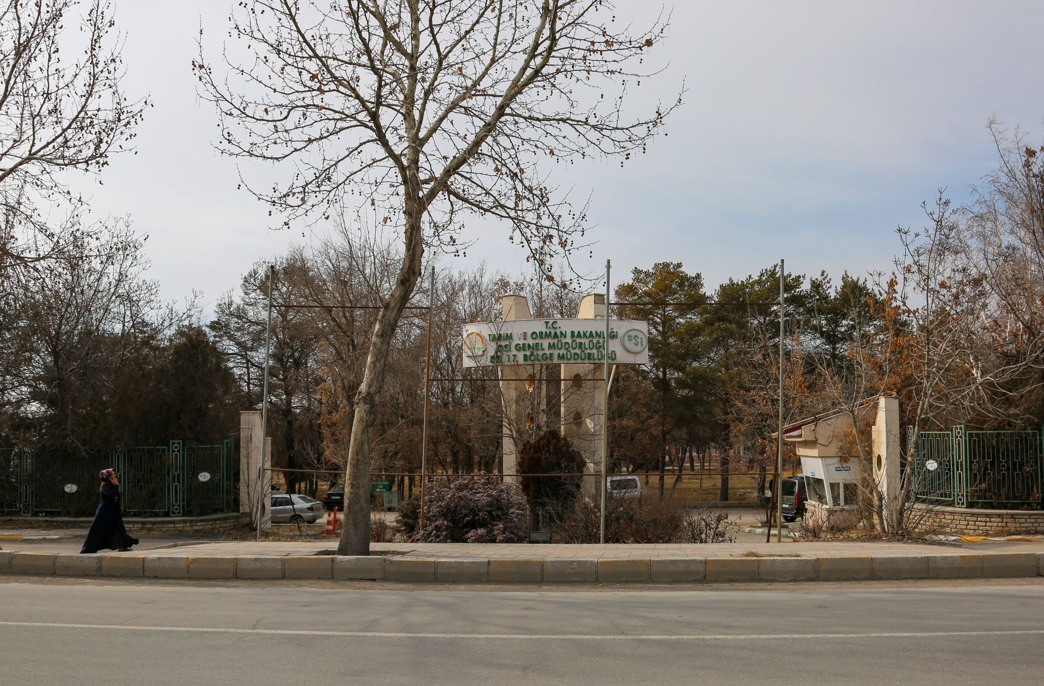 Eski DSİ arazisi Van'ın yeşil kalbi oluyor