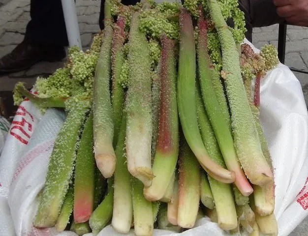 Van’ın Yayla Muzu (Uçkun) Tezgahlarda Ne Zaman Olacak?