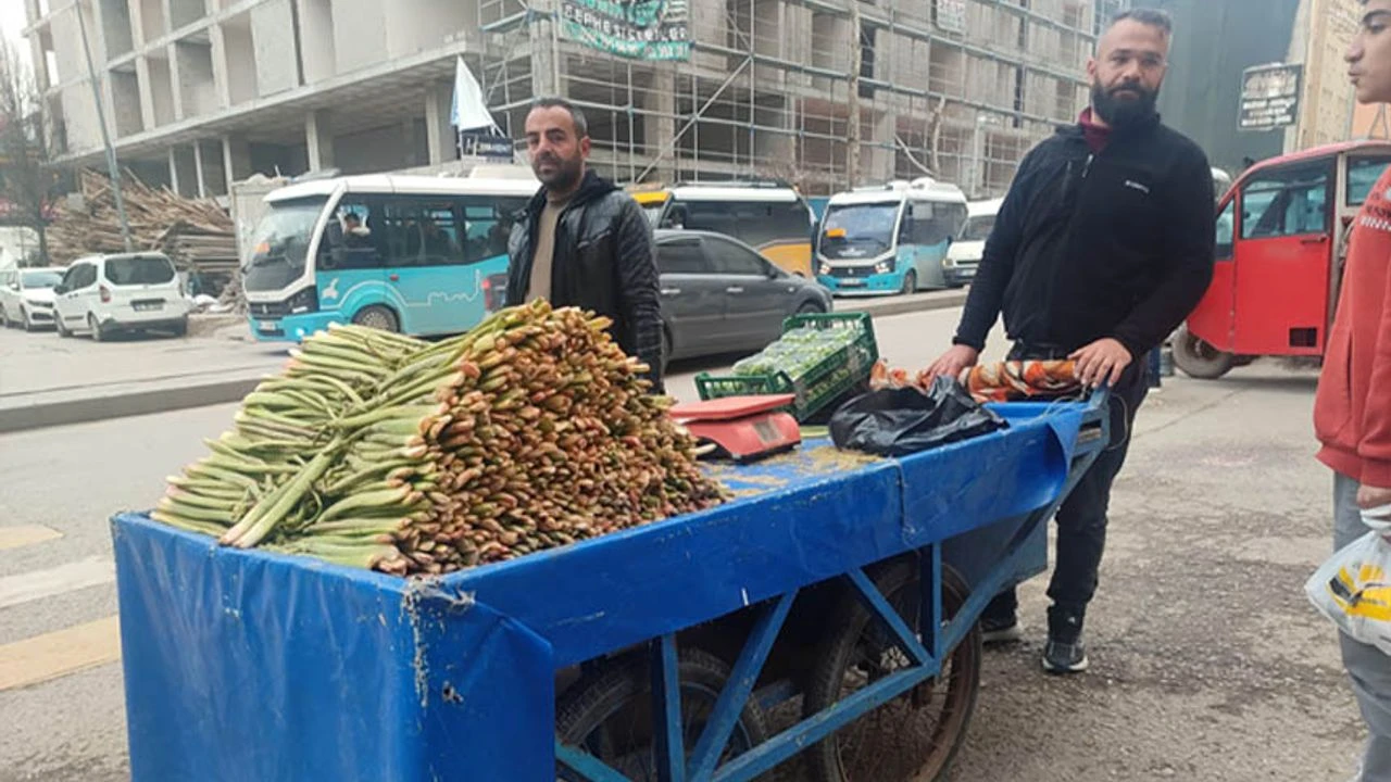Baharın Müjdecisi Uçkun Van Tezgâhlarında Yerini Aldı