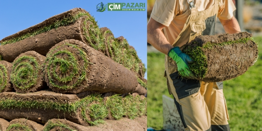 Hazır Rulo Çim Nedir? Kışa Dayanıklı mı? Fiyatları Ne Kadar?