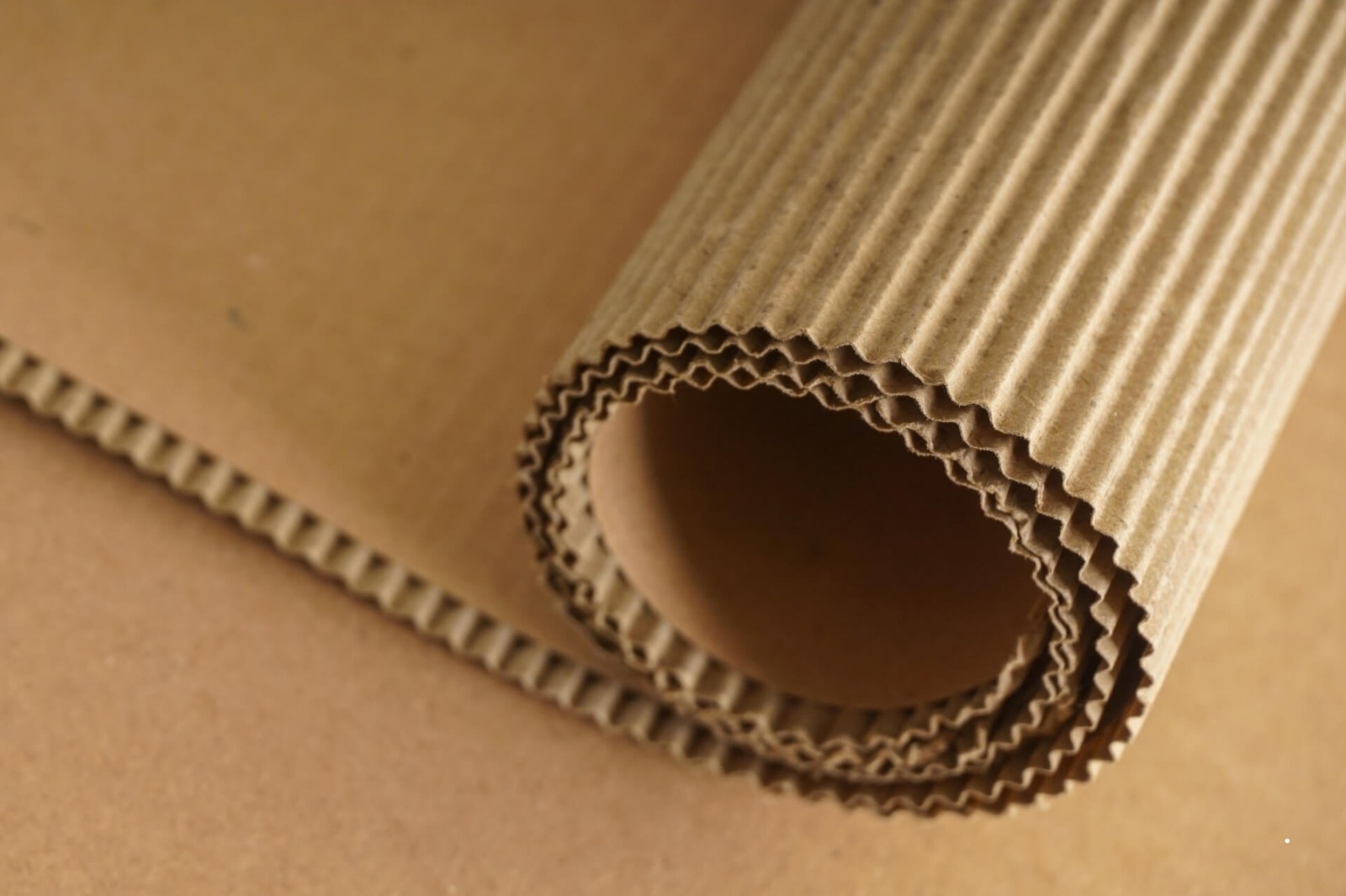 Ondüle Rulo Karton Kalite Rehberi