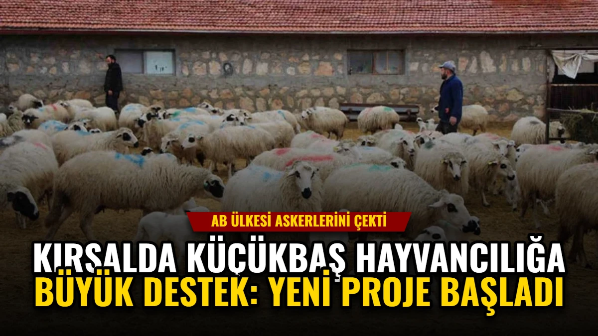 Kırsalda Küçükbaş Hayvancılığa Büyük Destek: Yeni Proje Başladı