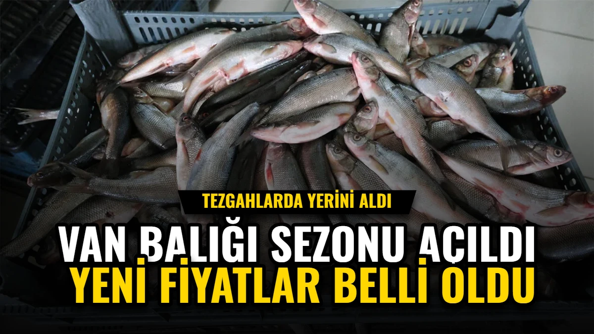 Van Balığı Sezonu Açıldı: Tezgahlarda Yerini Aldı, Yeni Fiyatlar Belli Oldu