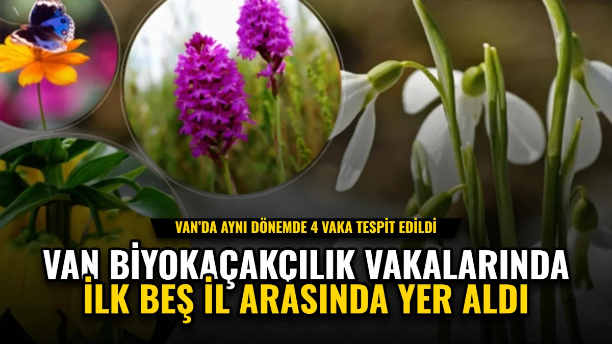 Van, Biyokaçakçılık Vakalarında İlk Beş İl Arasında Yer Aldı