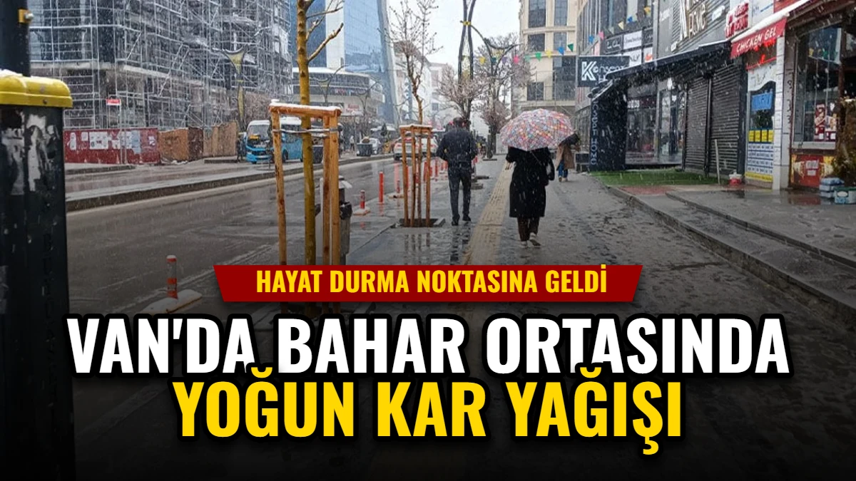 Van'da Bahar Ortasında Yoğun Kar Yağışı: Hayat Durma Noktasına Geldi