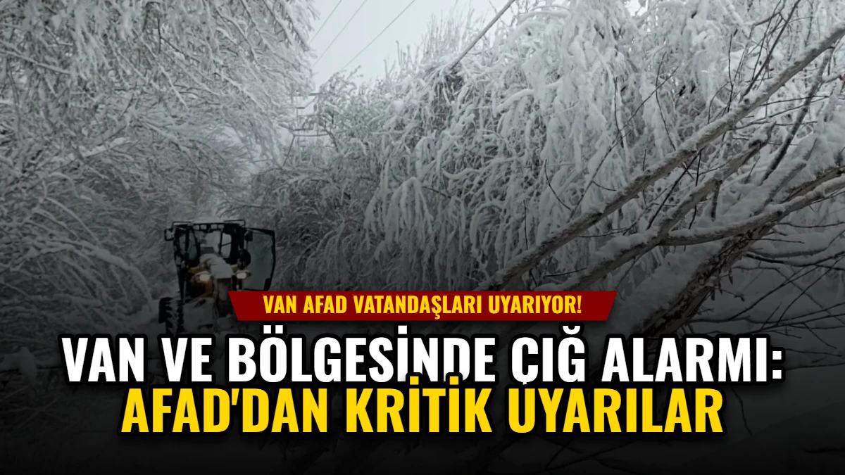 Van ve Bölgesinde Çığ Alarmı: AFAD'dan Kritik Uyarılar